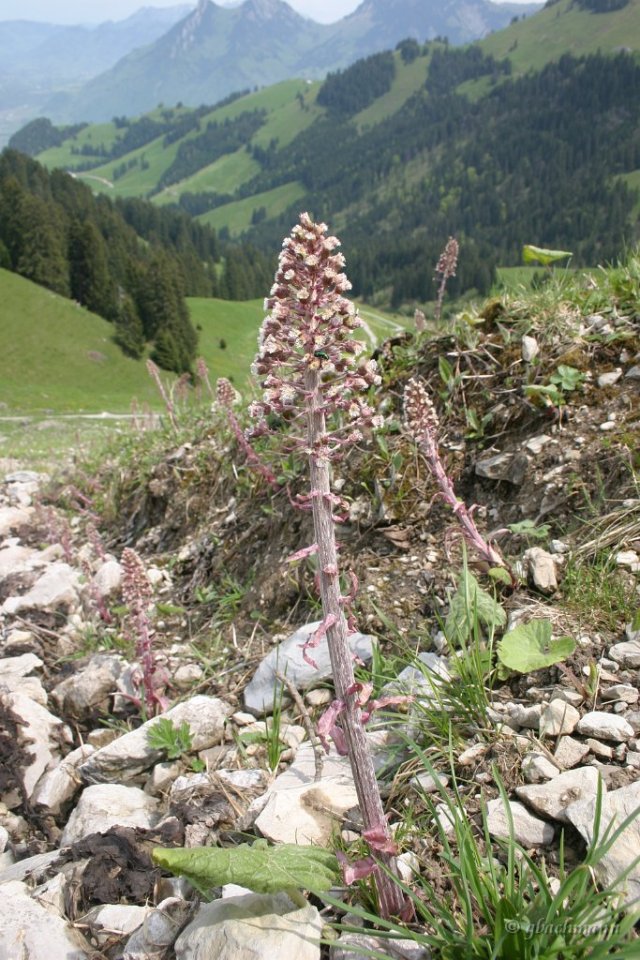 20050521_094